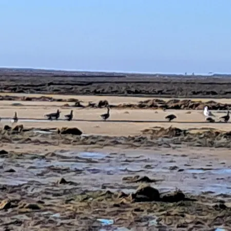 Vakantiehuis La Mignonnette Grues