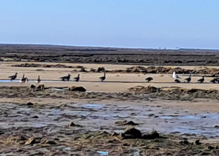 別荘 La Mignonnette Grues